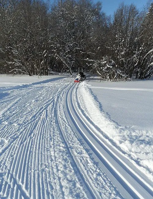 Резак для лыжни для Arctic Cat Снегоходов