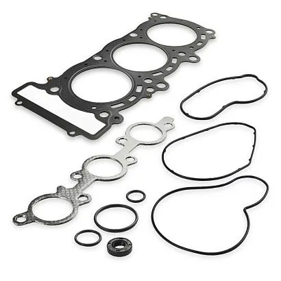 Комплект прокладок с сальниками Sledex для Yamaha 973LC