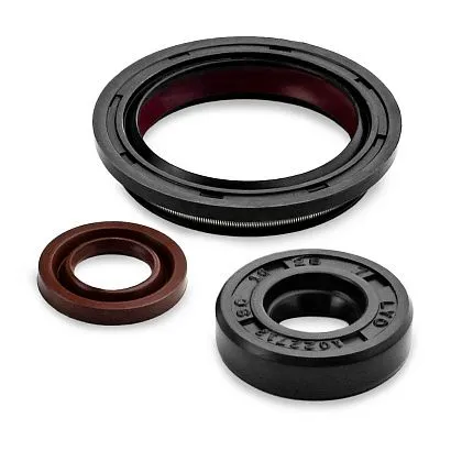 Комплект прокладок с сальниками Sledex для Ski-Doo 600LC