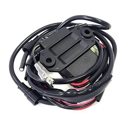Катушка зажигания BRP 01-143-45