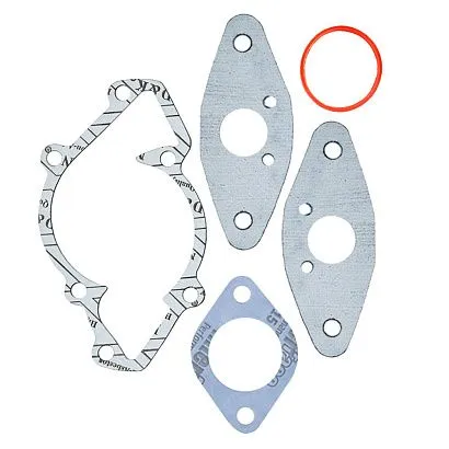 Комплект прокладок с сальниками Sledex для Ski-Doo 600LC