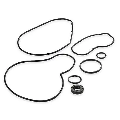 Комплект прокладок с сальниками Sledex для Yamaha 973LC