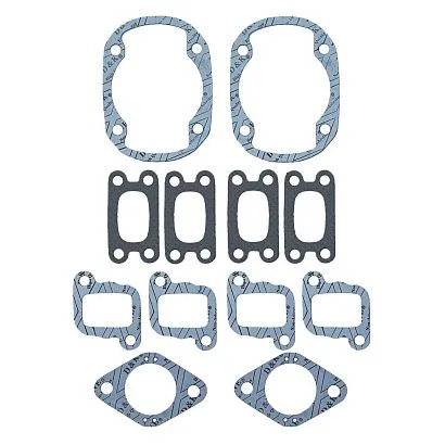 Комплект прокладок с сальниками Sledex для Ski Doo 503F