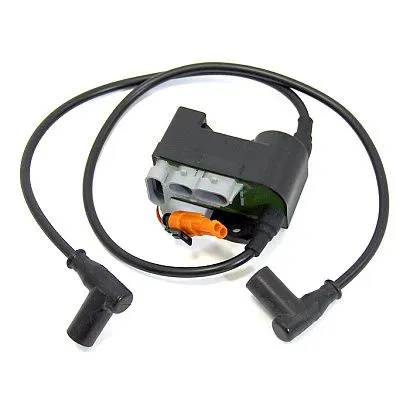 Катушка зажигания BRP SU-01184