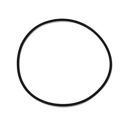Кольцо уплотнительное BRP 008-599-15