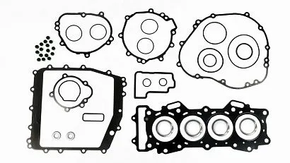 Полный комплект прокладок Kawasaki 600 см³ P400250870053
