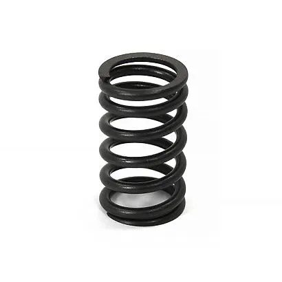 Внешняя пружина клапана BRP 1503 46-112-73