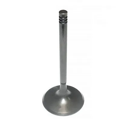 Впускной клапан BRP 1503 010-005