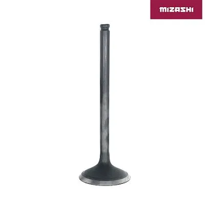 Выпускной клапан BRP AT-MZ1172