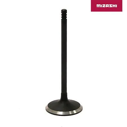 Впускной клапан AT-MZ1512